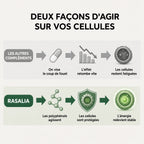 Gélules d'Amla Superfruit