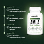 Gélules d'Amla Superfruit