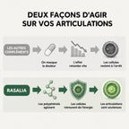 Gélules d'Amla Superfruit