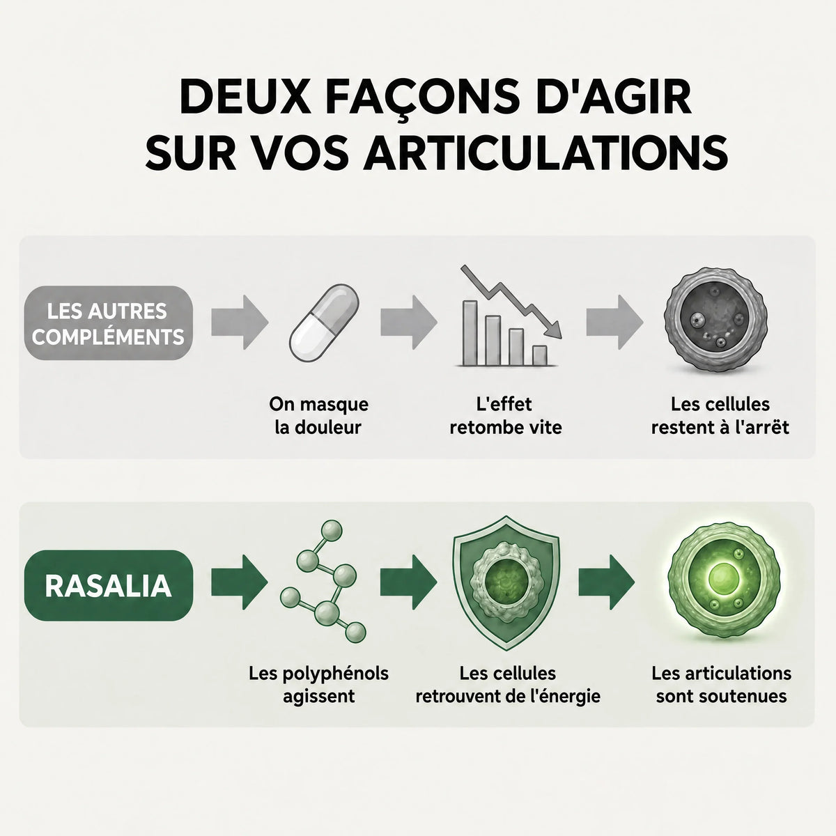 Gélules d'Amla Superfruit