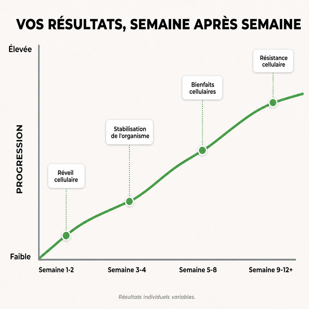 Gélules d'Amla Superfruit