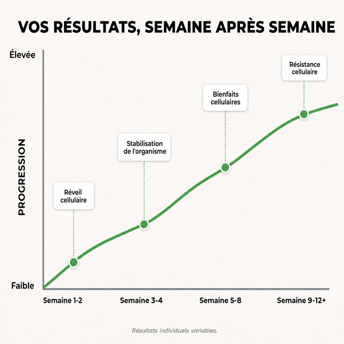 Gélules d'Amla Superfruit