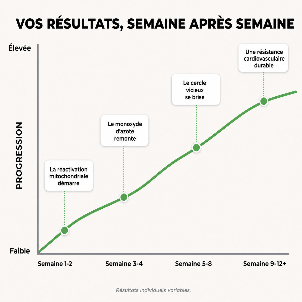Gélules d'Amla Superfruit