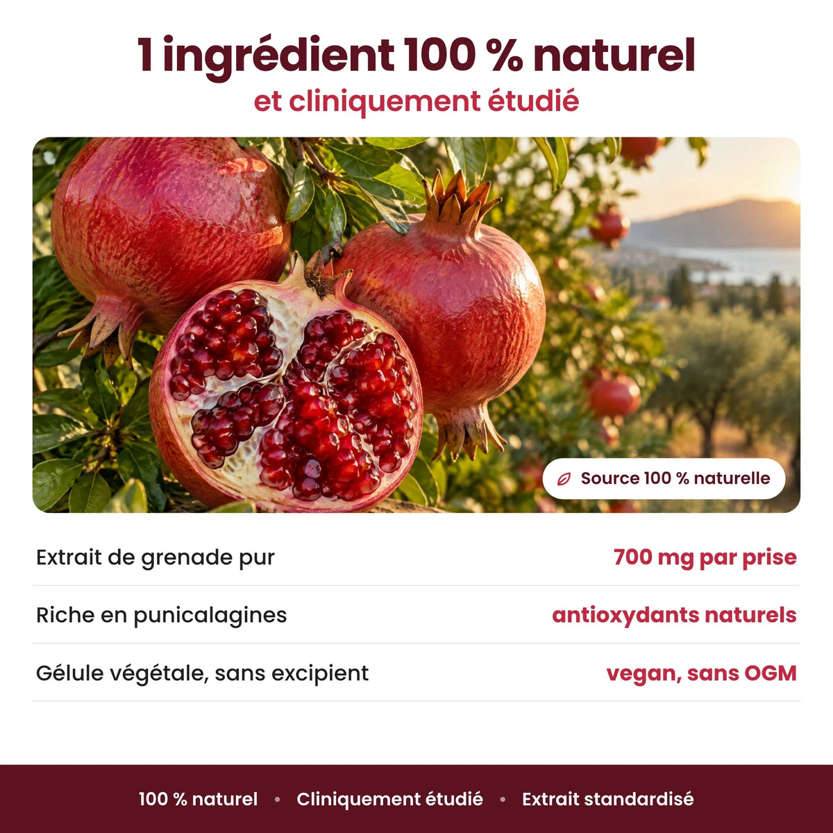 Gélules de Grenade Superfruit