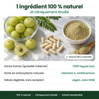 Gélules d'Amla Superfruit