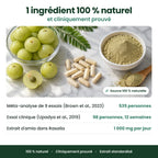 Gélules d'Amla Superfruit