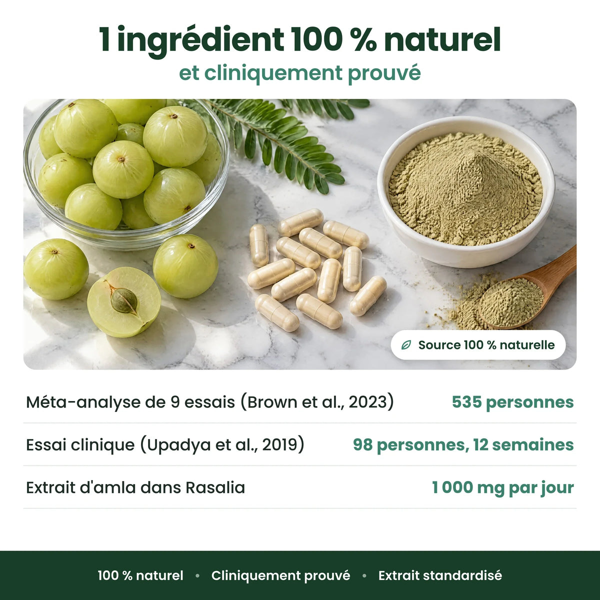 Gélules d'Amla Superfruit
