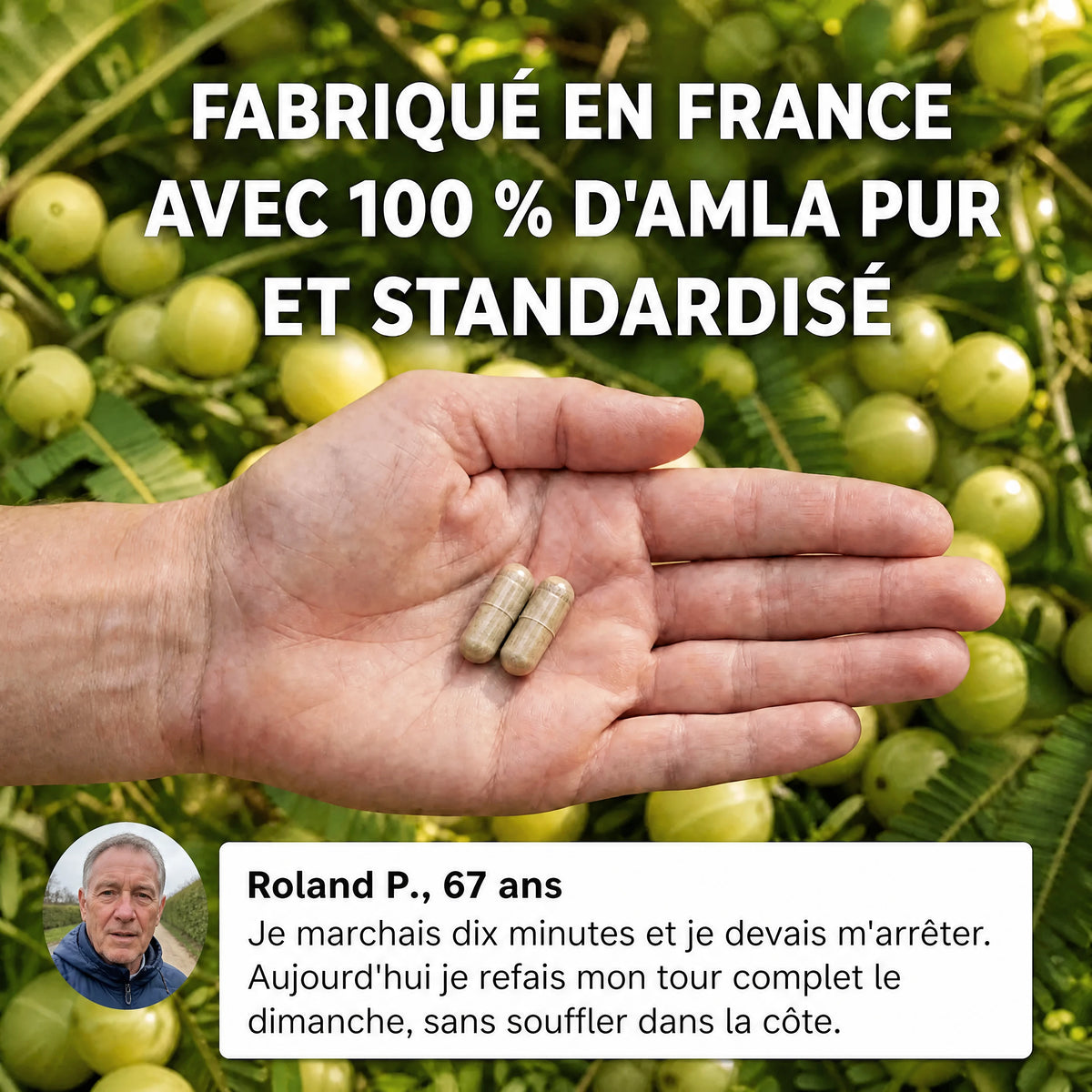 Gélules d'Amla Superfruit