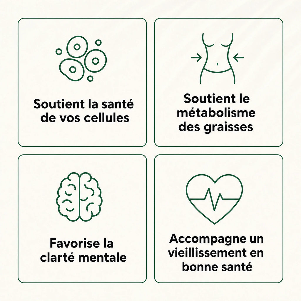 Gélules d'Amla Superfruit