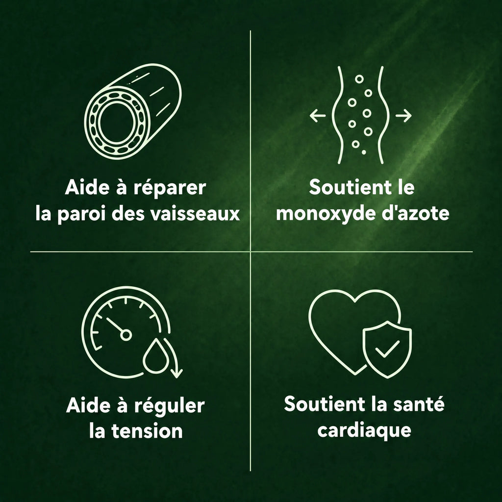 Gélules d'Amla Superfruit