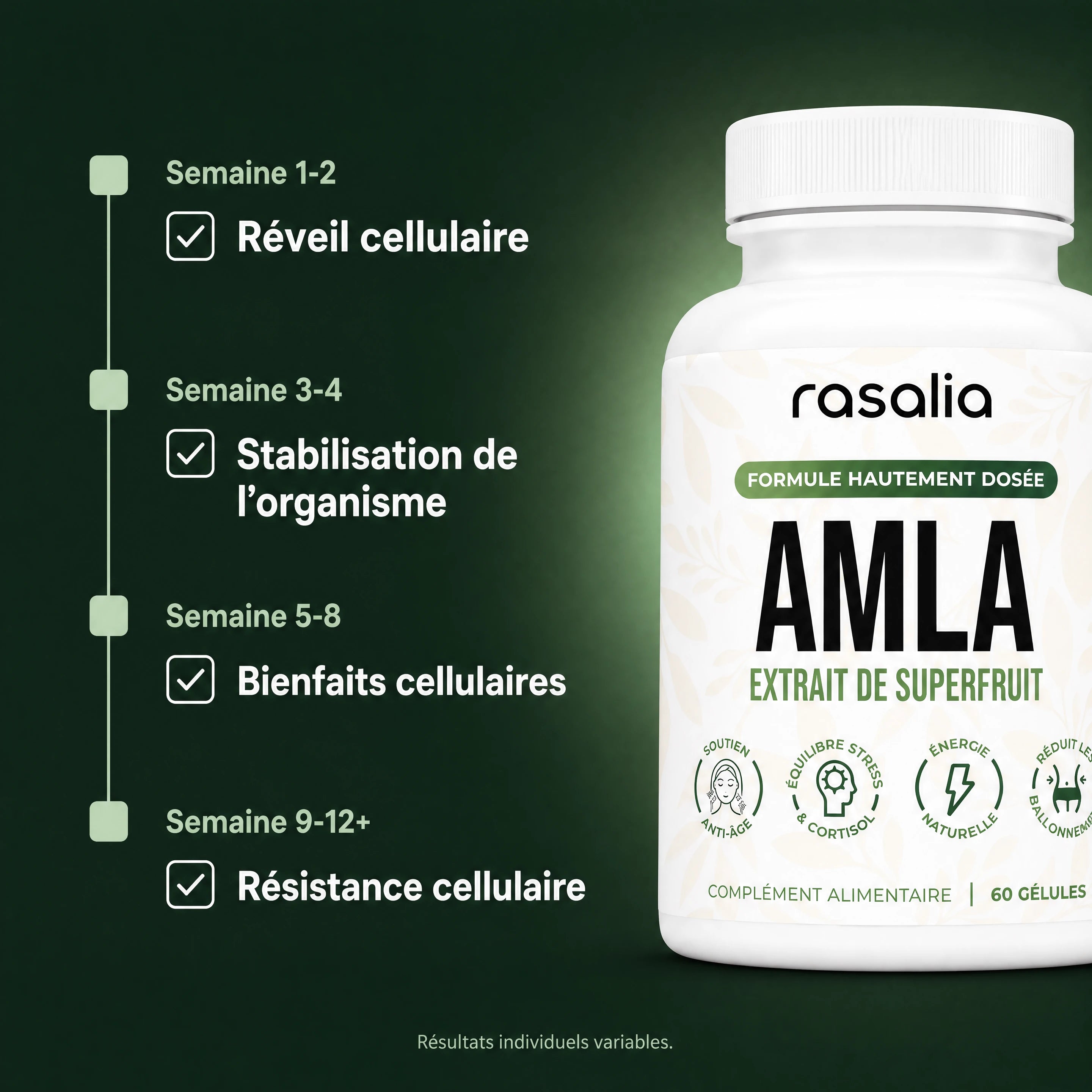 Amla Superfruit — Rasalia — Antioxydant